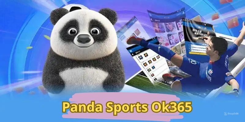 Giới thiệu về chuyên mục Panda Sports ok365