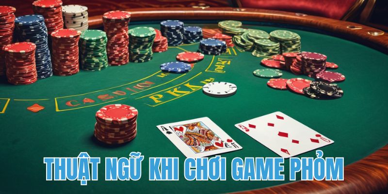 Thuật ngữ khi tham gia Phỏm