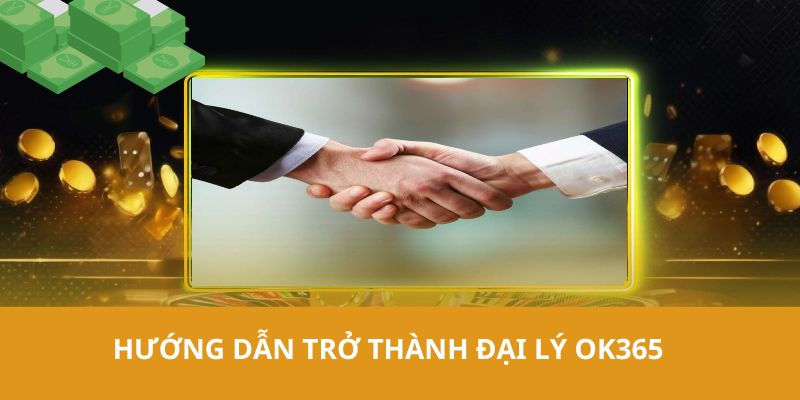 Tổng hợp đầy đủ các bước để đăng ký trở thành đại lý ok365