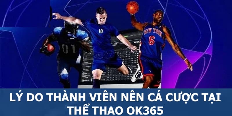 Lý do khách hàng nên cá độ tại sảnh thể thao của nhà cái OK365